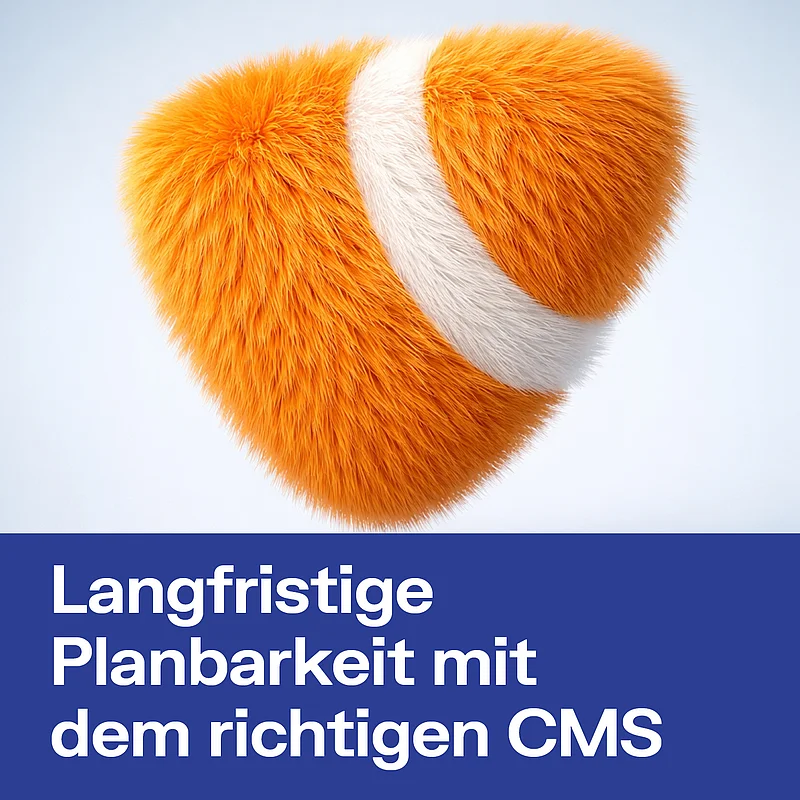TYPO3 Update v 12