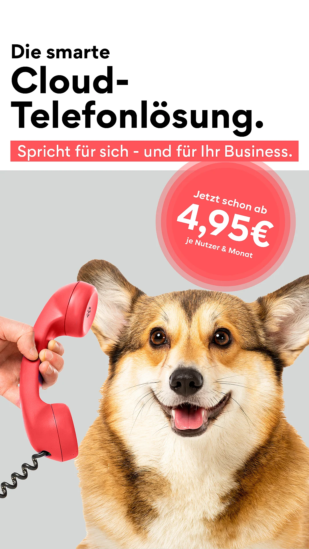 Corgy telefonier über inopla