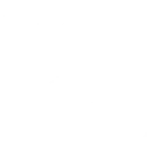 Programmierung