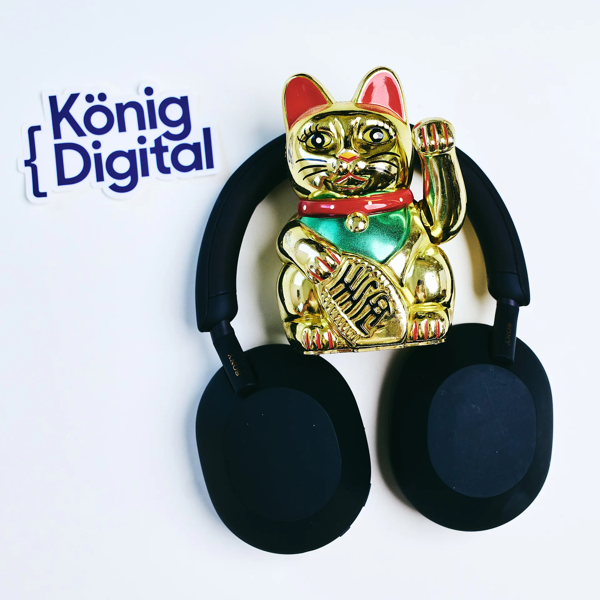 König Digital Katze