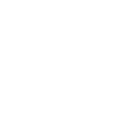 Strategie