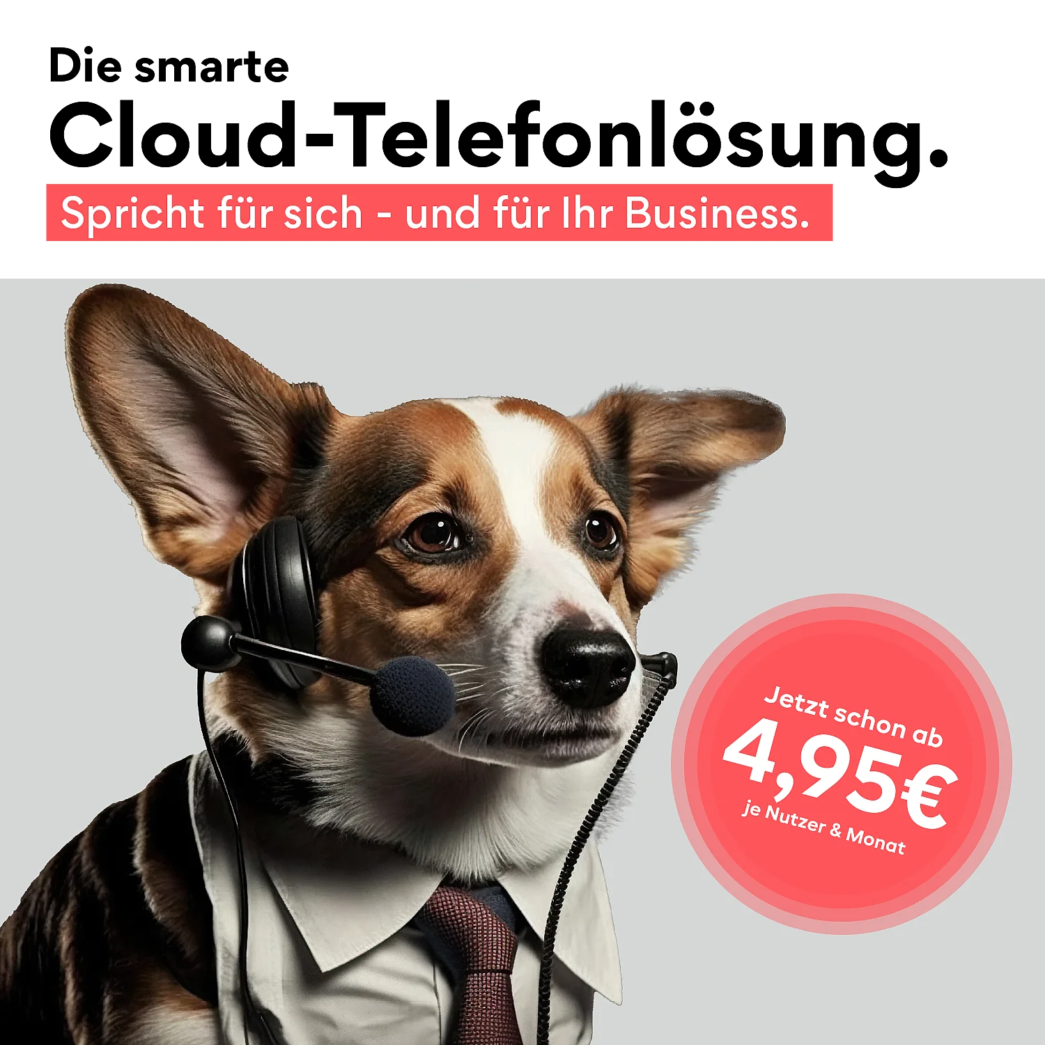 Werbepost mit einem Hund mit einem Headset