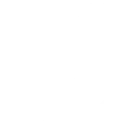 Google Ads SEO