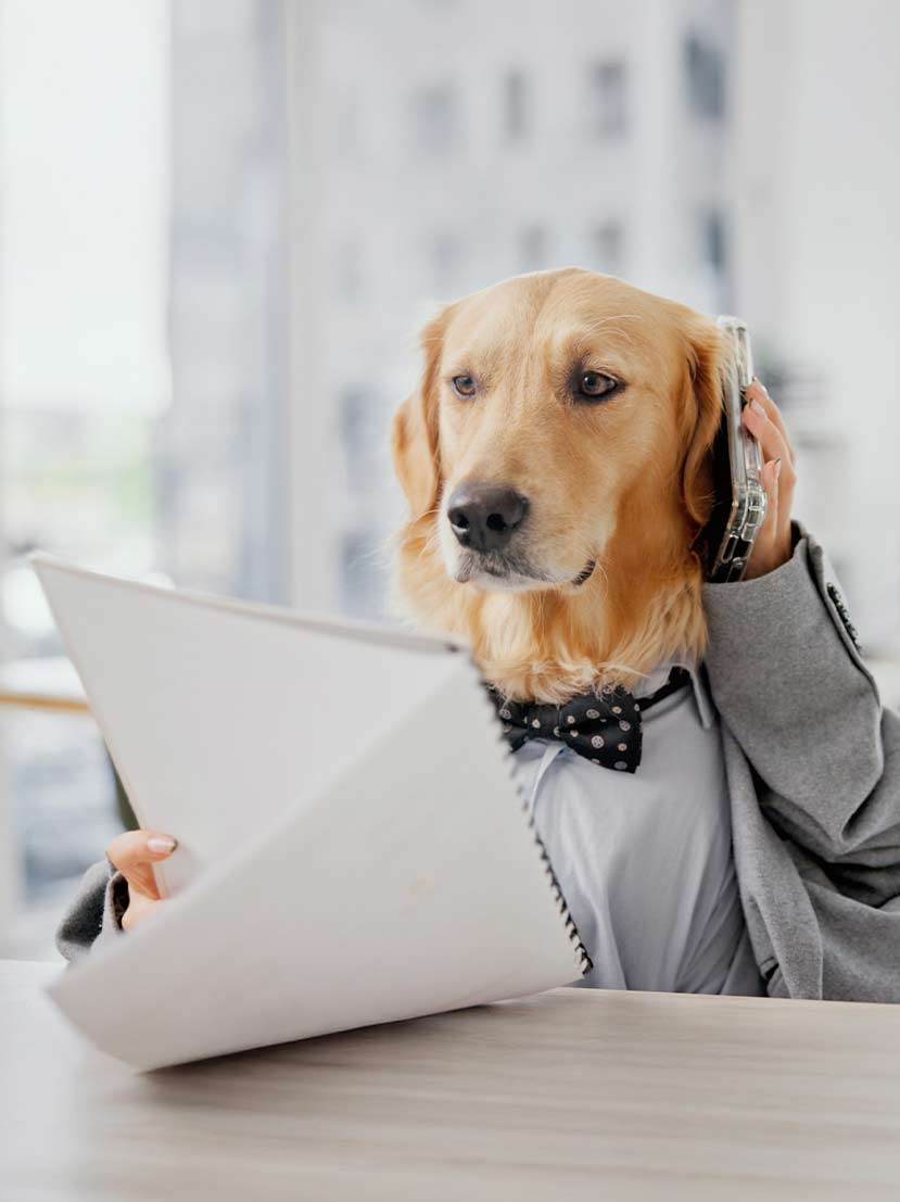 Foto von einem telefonierenden Hund der auf einen Block schaut
